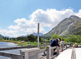 015 - der seebär legt an